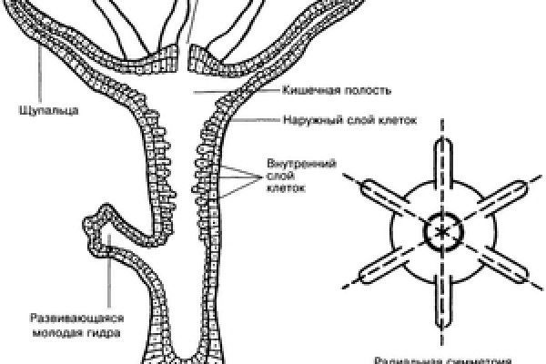 Настоящий сайт омг