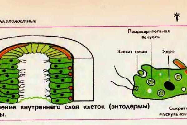 Как в торе загрузить фото на кракен